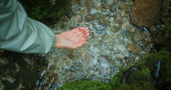 Unlocking the Mind: The Cognitive and Social Advantages of Immersive Live Theater Experiences